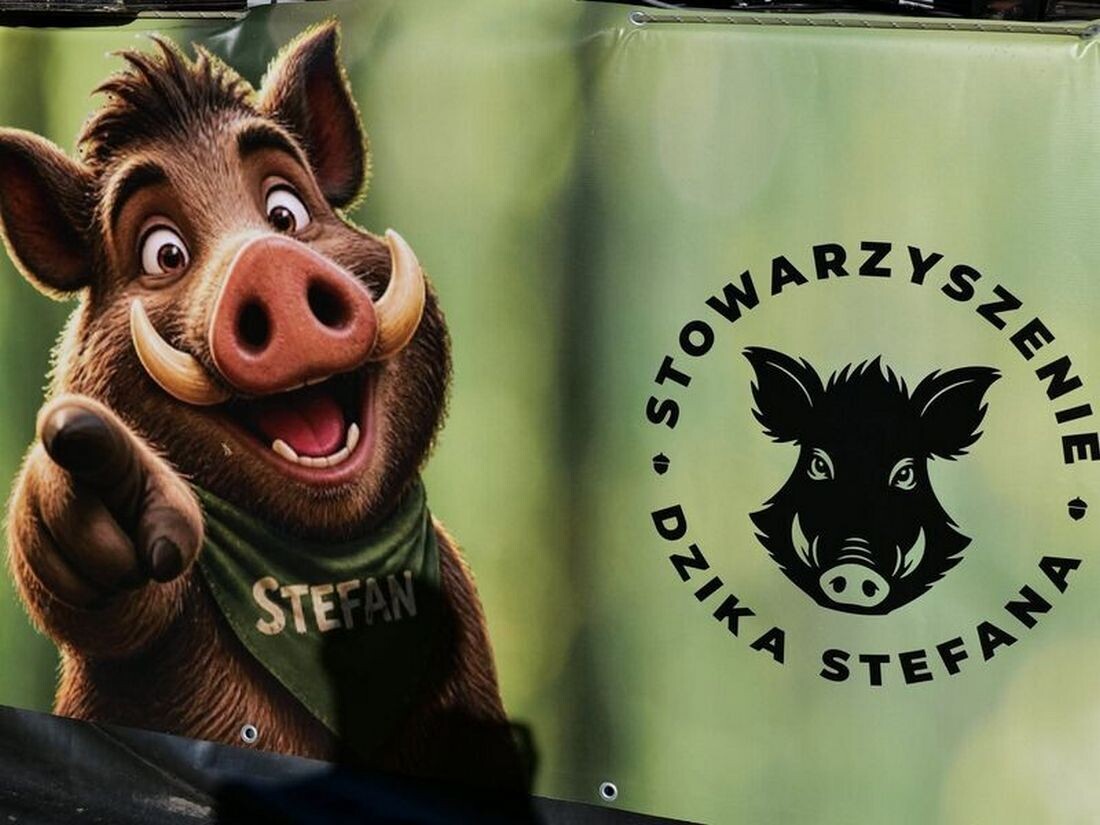Dzik Stefan świętował drugie urodziny. Powiat Skarżyski wsparł wydarzenie integrujące mieszkańców Suchedniowa